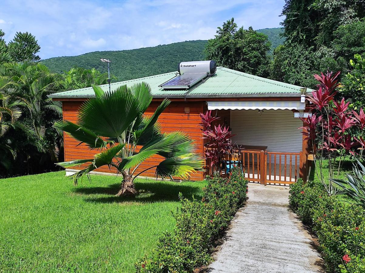 Le Tri Haut De Bellevue - Bungalow Colibri ポワント・ノワール エクステリア 写真